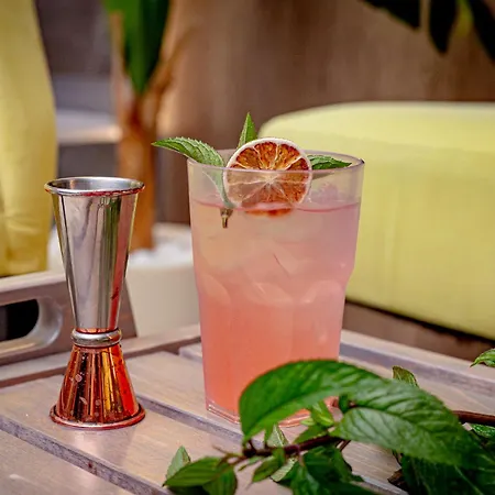 Titova 兹拉蒂博尔